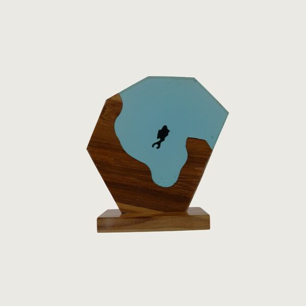 تحفة غواص سيز