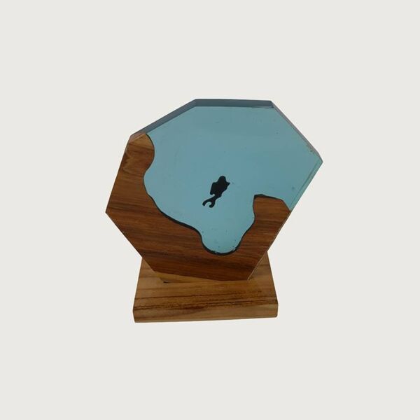 تحفة غواص سيز