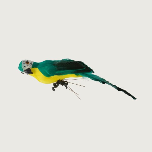 مجسم ديكور ببغاء انيمل - اخضر - 12 قطعة