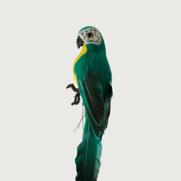 مجسم ديكور ببغاء انيمل - اخضر - 12 قطعة