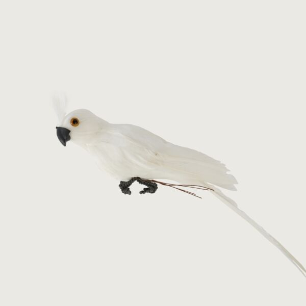 مجسم ديكور جميل ببغاء - ابيض