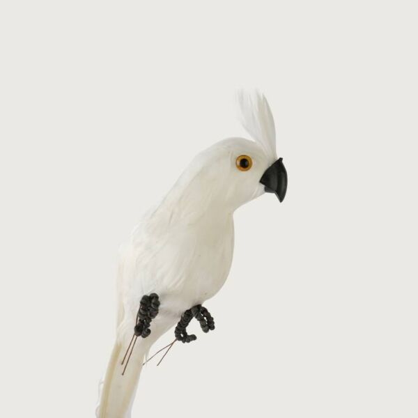مجسم ديكور جميل ببغاء - ابيض