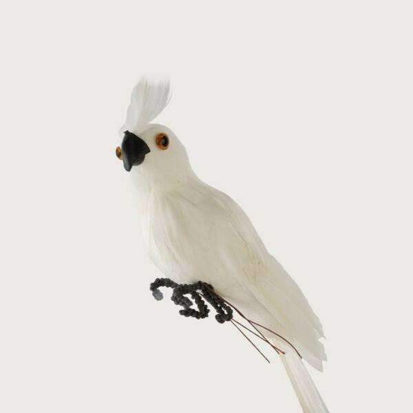 مجسم ديكور جميل ببغاء - ابيض