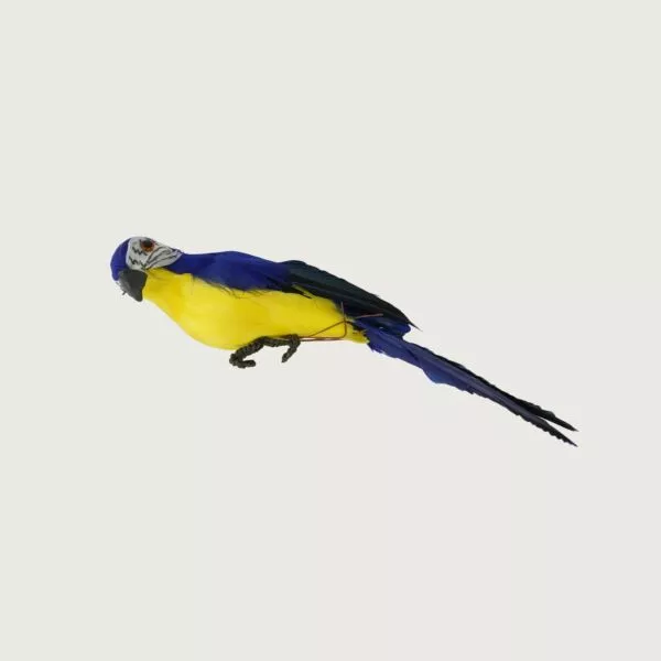 مجسم ببغاء - ازرق