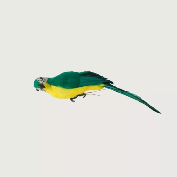 مجسم ببغاء - اخضر