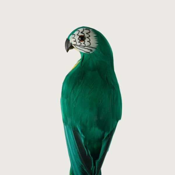 مجسم ببغاء - اخضر