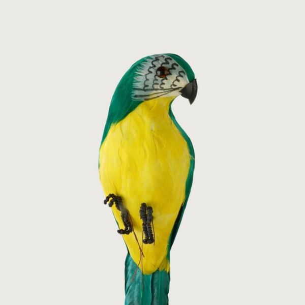 مجسم ببغاء - اخضر