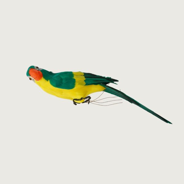 مجسم ديكور جميل ببغاء - اخضر
