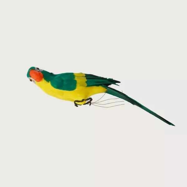 مجسم ديكور جميل ببغاء - اخضر