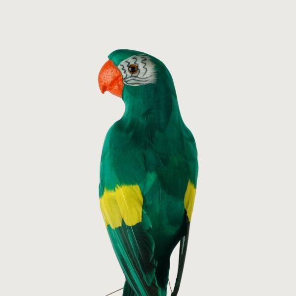 مجسم ديكور جميل ببغاء - اخضر