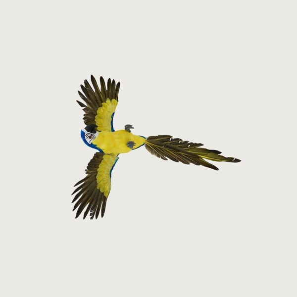 تحفة ديكور مجسمه بيرد شكل ببغاء - اصفر