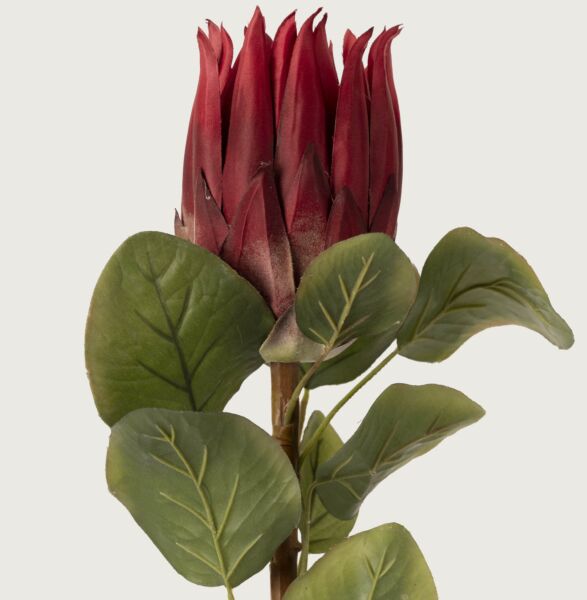 نبتة صناعي زهرة بروتيا حمراء - 12 قطعة