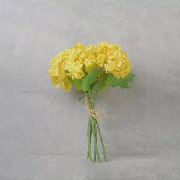 زهرة البلوسوم - اصفر