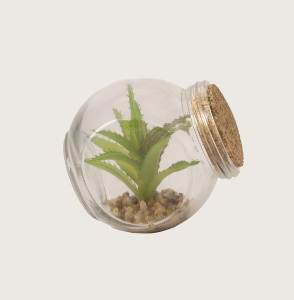 نبتة صناعي  بمركن زجاج - 12 قطعة