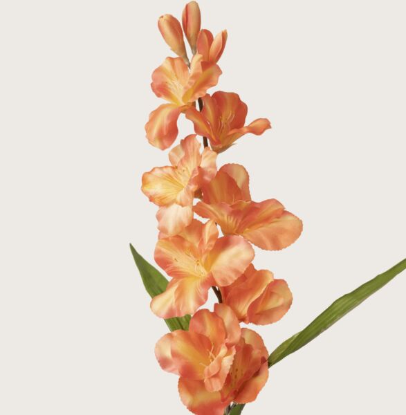 وردة  نبتة جلاديولس صناعي خربزي - 12 قطعة