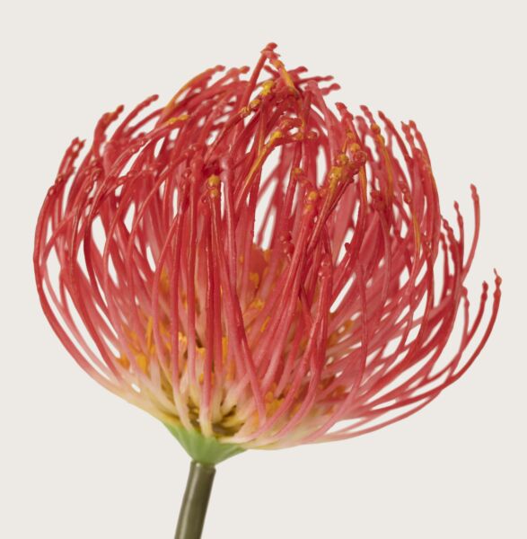 فل صناعي ورد الياسمين فوشي - 12 قطعة