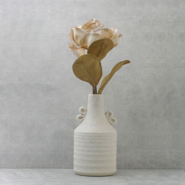 زهرة المانغوليا - بيج - 12 قطعة