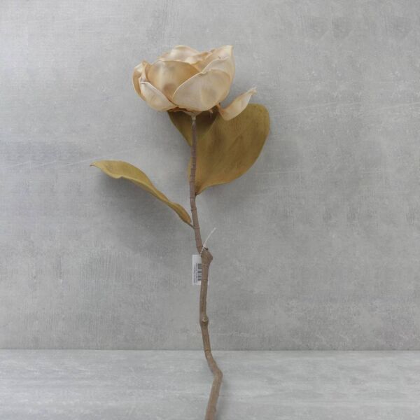 زهرة المانغوليا - بيج - 12 قطعة