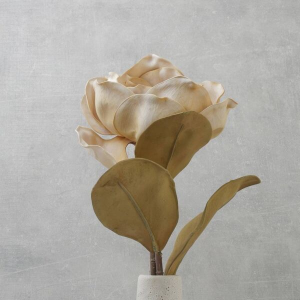 زهرة المانغوليا - بيج - 12 قطعة