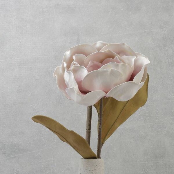 زهرة المانغوليا - وردي - 12 قطعة