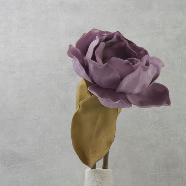 زهرة المانغوليا - بنفسجي غامق - 12 قطعة