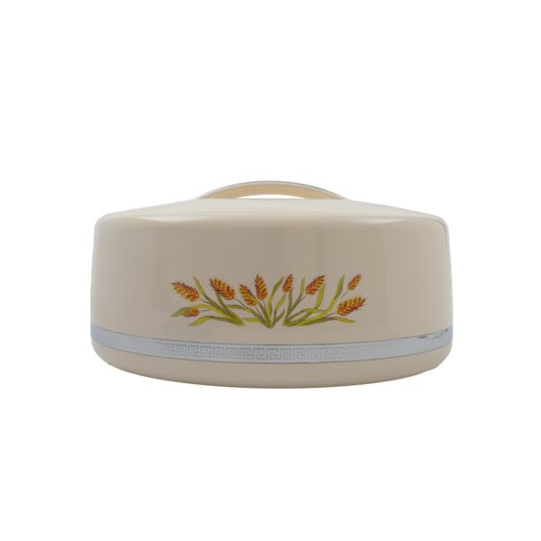 حافظة طعام الون