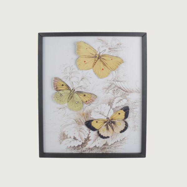 لوحة حائط فراشات