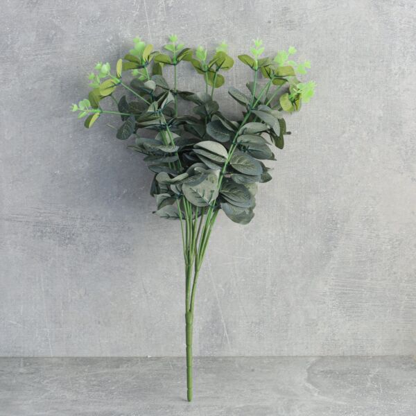 فرع شجرة أوكالبتوس - 12 قطعة