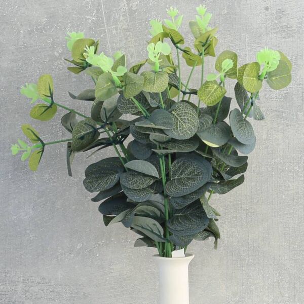 فرع شجرة أوكالبتوس - 12 قطعة