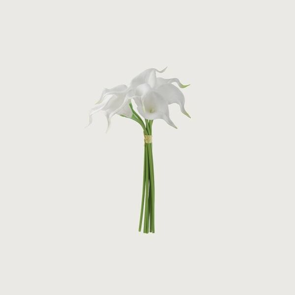 زهرة كالا - ابيض - 12 قطعة