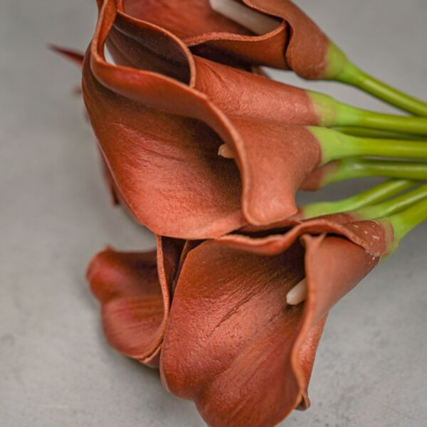 ورود صناعية روزاليا - بني - 12 قطعة