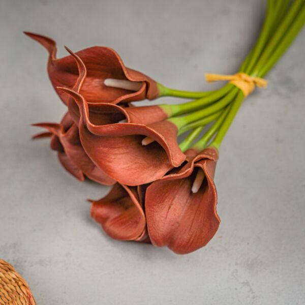 ورود صناعية روزاليا - بني - 12 قطعة