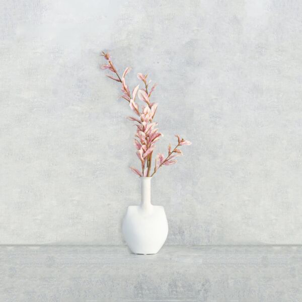 فرع نبتة نمول برازيلي