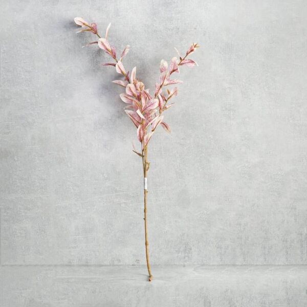 فرع نبتة نمول برازيلي