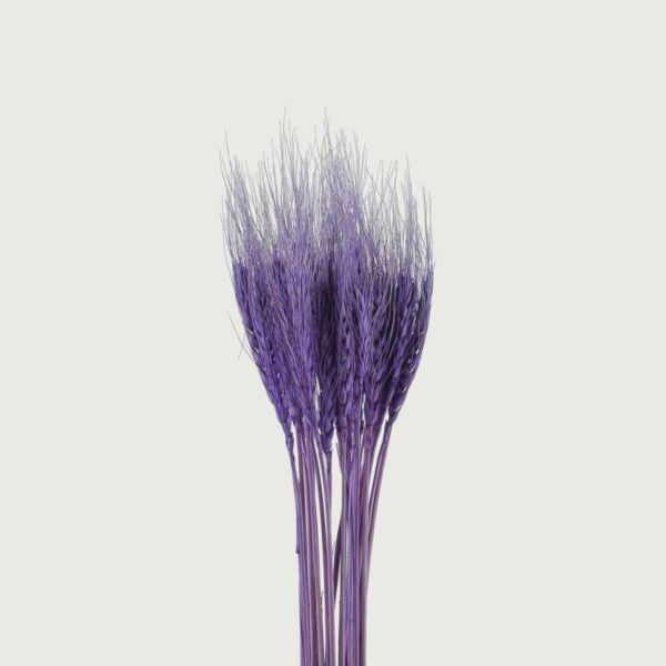 فرع سنابل قمح - بنفسجي - 12 قطعة