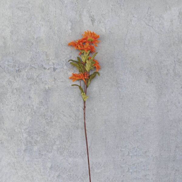 فرع وردة اكويليجيا كليمنتين - برتقالي - 12 قطعة