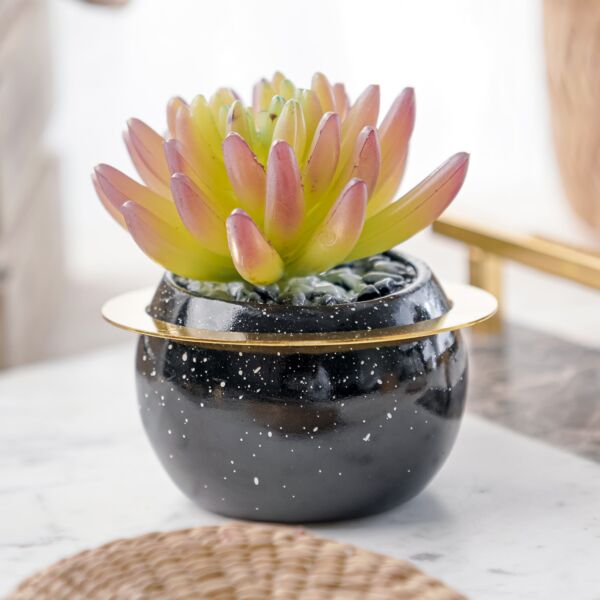 نبات صناعي شايا - متعدد الألوان - 12 قطعة