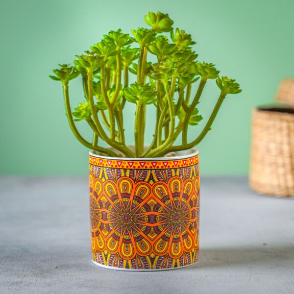 زرع صناعي مالفا - متعدد الألوان - 12 قطعة