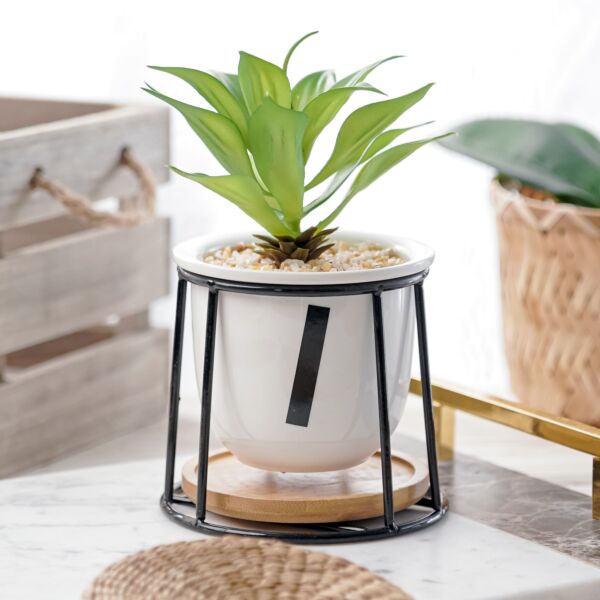 نبات صناعي كورزا - اخضر ومتعدد الألوان - 12 قطعة