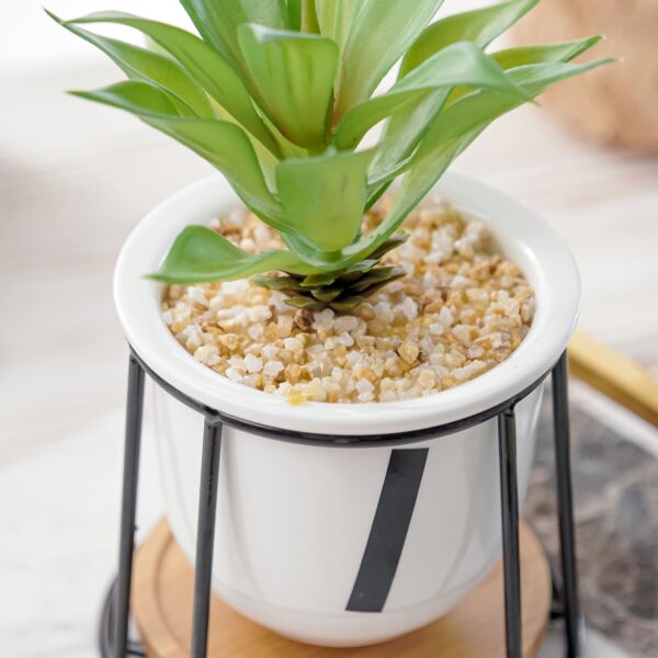 نبات صناعي كورزا - اخضر ومتعدد الألوان - 12 قطعة