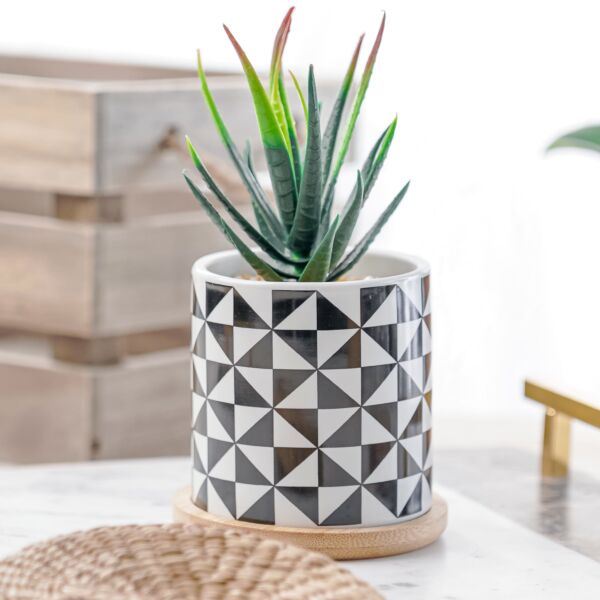 نبات صناعي دوفيا - اخضر ومتعدد الألوان - 12 قطعة