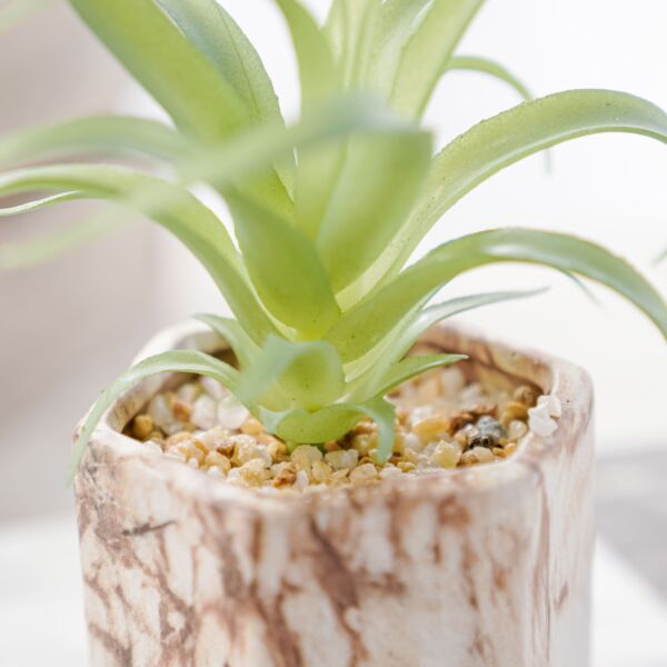 نبات صناعي ياكا - اخضر ومتعدد الألوان - 12 قطعة