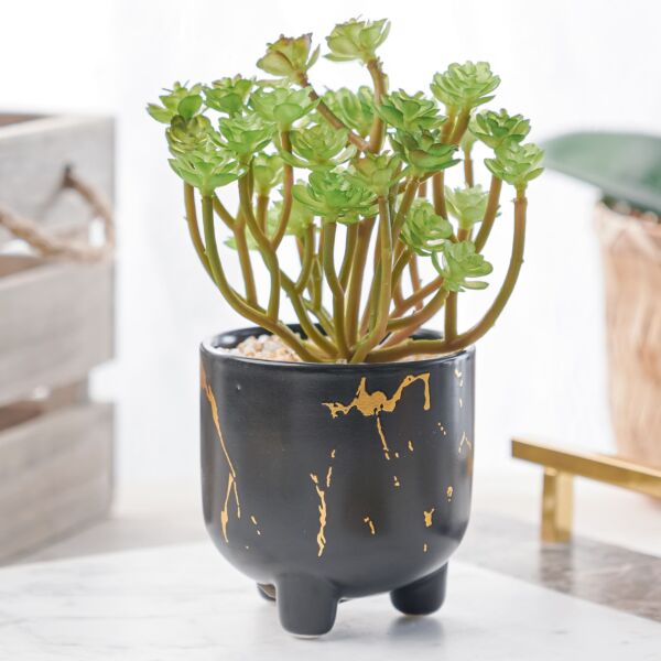 نبات صناعي موكا - اخضر ومتعدد الألوان - 12 قطعة