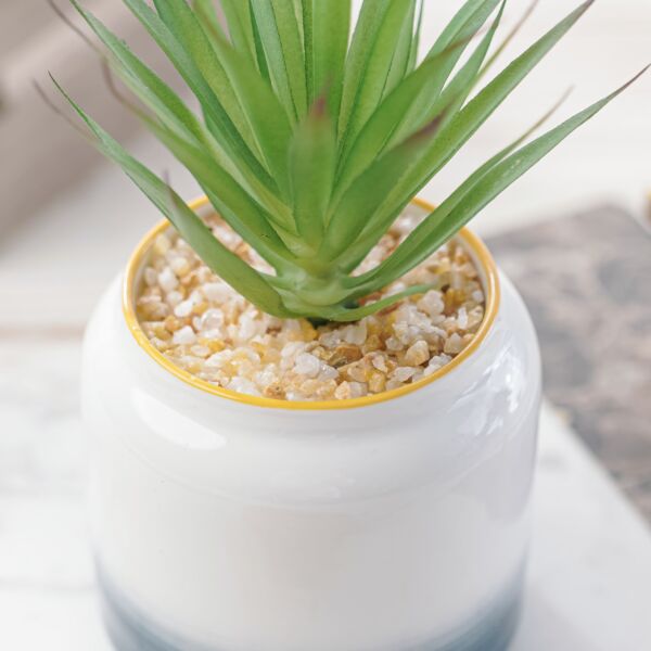 نبات صناعي دوميا - اخضر ومتعدد الألوان - 12 قطعة