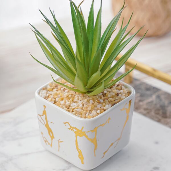 نبات صناعي كاديا - اخضر ومتعدد الألوان - 12 قطعة