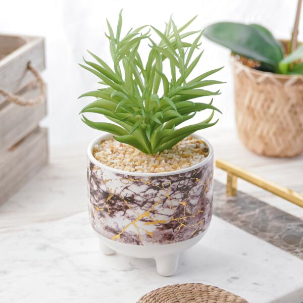 نبات صناعي دولان - متعدد الألوان - 12 قطعة