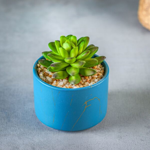 نبات صناعي لاركو - أزرق وأخضر - 12 قطعة