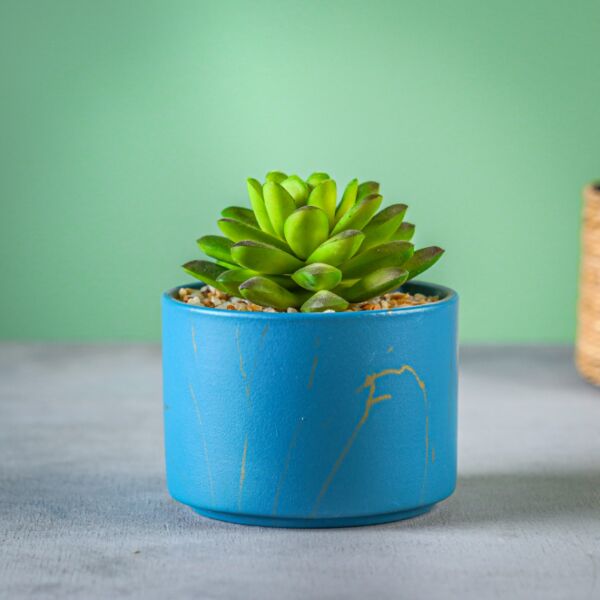 نبات صناعي لاركو - أزرق وأخضر - 12 قطعة