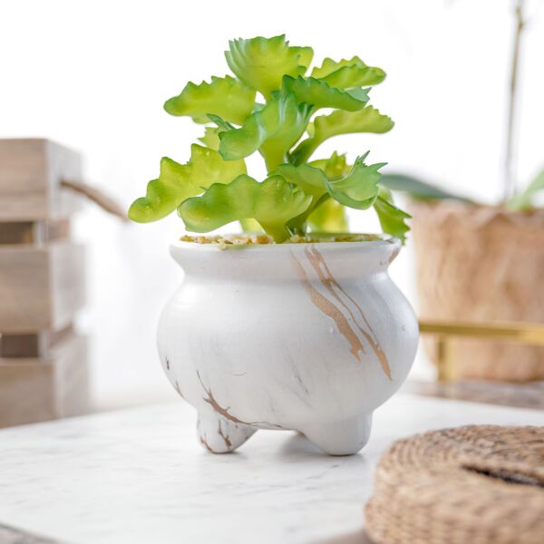 نبات صناعي زورا - اخضر ومتعدد الالوان - 12 قطعة