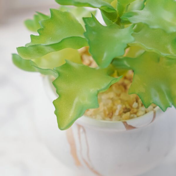 نبات صناعي زورا - اخضر ومتعدد الالوان - 12 قطعة